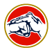 logo san yi quan