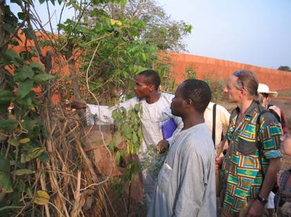 voie du benin clip image002 0001