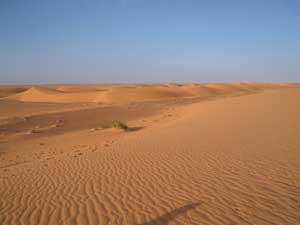 mauritanie J2 desert