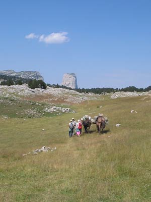 vercors5