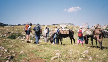 vercors muletiers